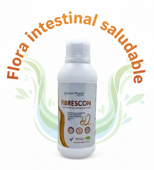 Flora intestinal saludable - Opción 18